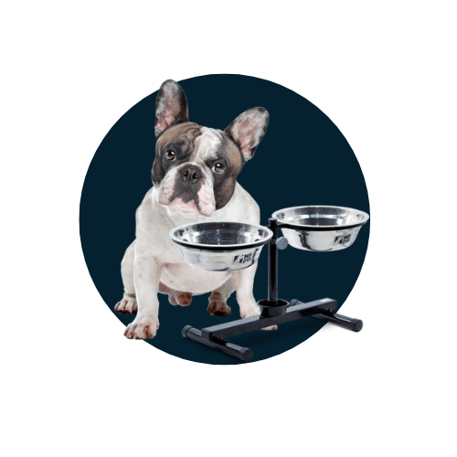 Produtos para Pets