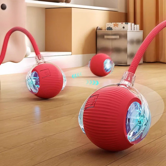Brinquedo Inteligente - ViShop